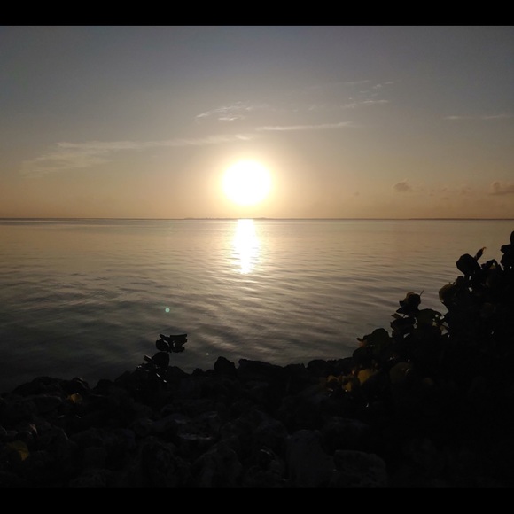 Meet your Posher, Julie - Picture 5 of 10